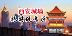 啊啊啊爽成人网站中国陕西-西安城墙旅游风景区
