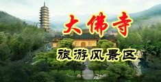 大吊草逼逼视频中国浙江-新昌大佛寺旅游风景区